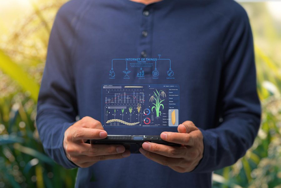 AI farming app increasing crop yield prediction accuracy