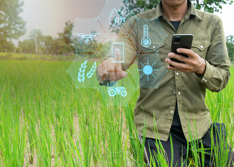 AI-powered farming and yield prediction platform