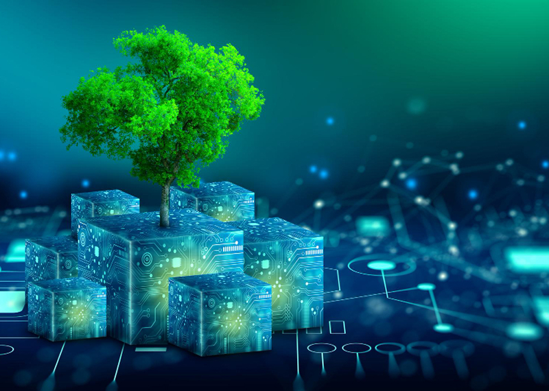 Blockchain-powered climate impact management platform