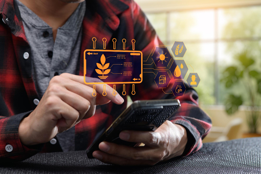 How an Agriculture Business Improved Product Traceability with a Blockchain Supply Chain Solution