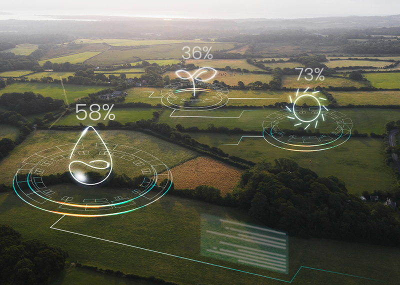 IoT-Based Water Quality Monitoring Platform