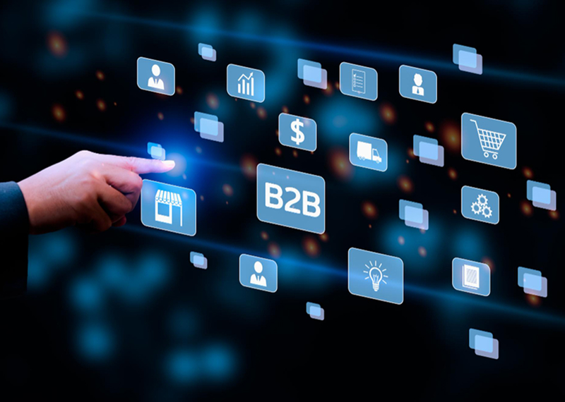 Salesforce B2B Sales Portal ecosystem for consumer goods brands