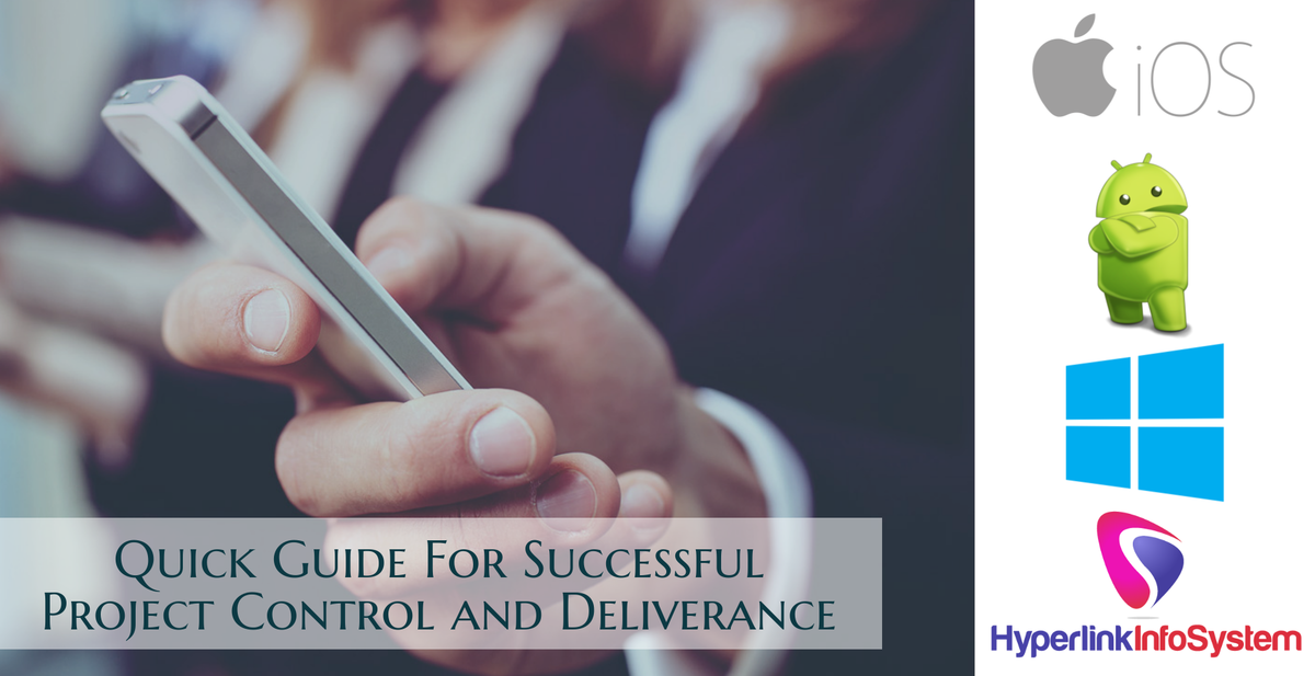 quick guide for successful project control and deliverance