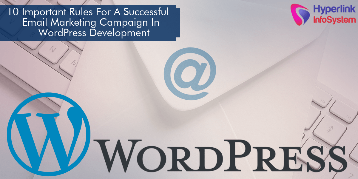 email marketing campaign in wordpress development