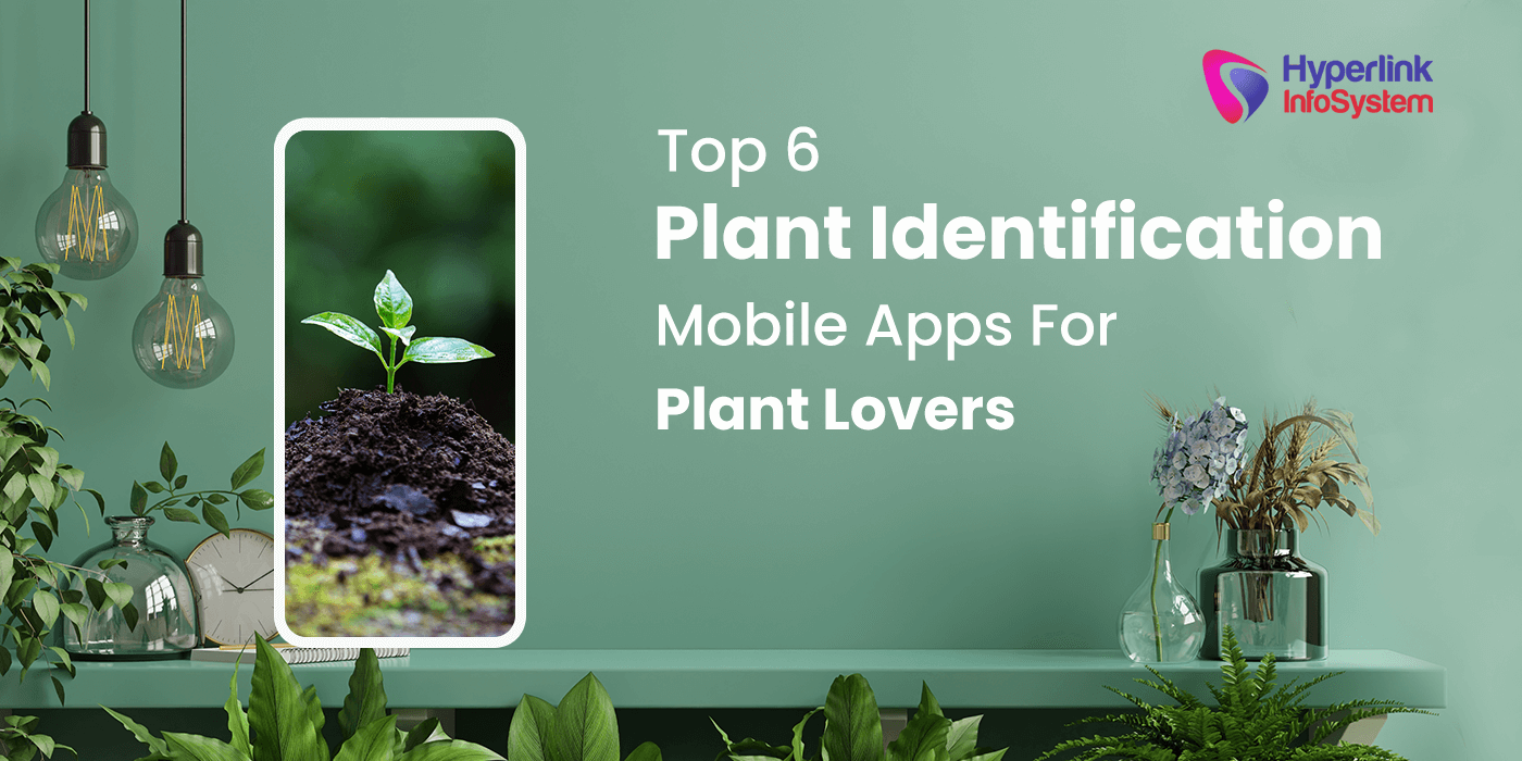 top 6 plant identification mobile apps for plant lovers