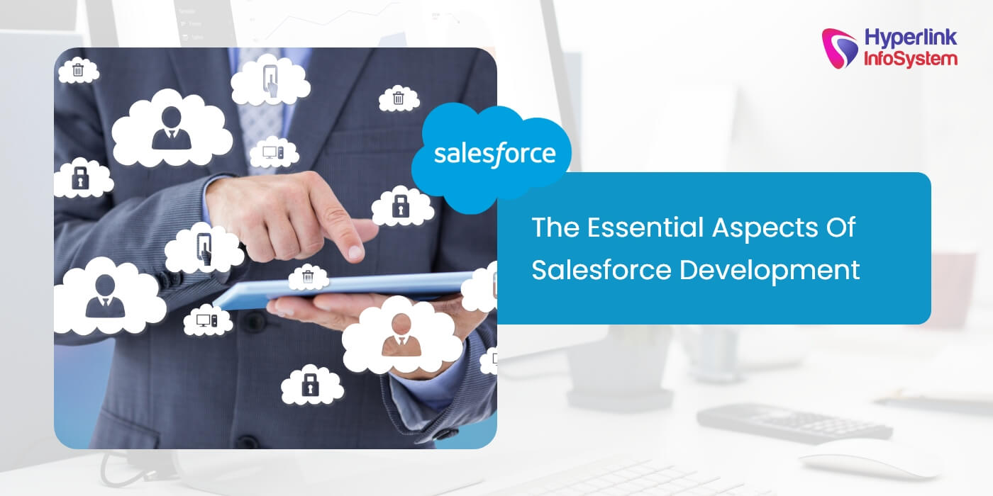 the essential aspects of salesforce development