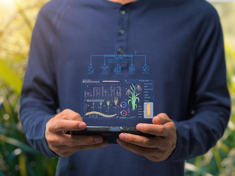 agriculture business increased crop yield predictions accuracy by 50% with an ai farming app