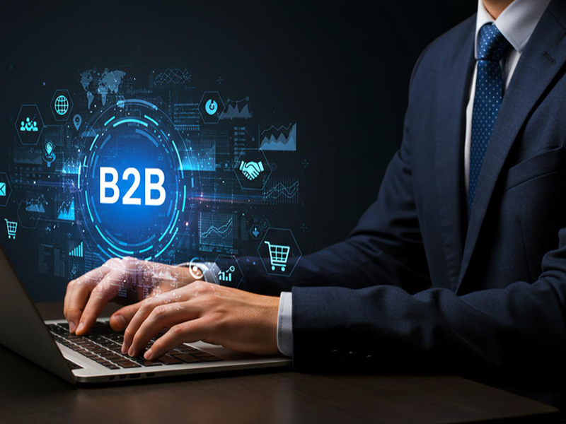 salesforce b2b sales portal for a consumer goods brand