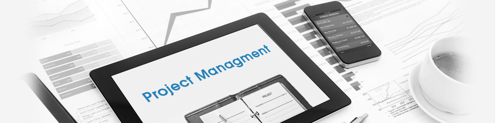 project management solution