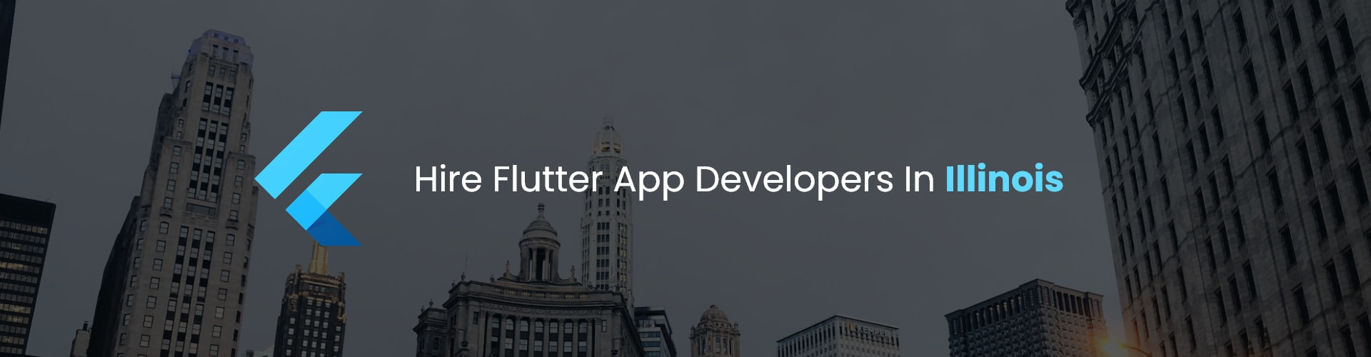 flutter app developers in illinois