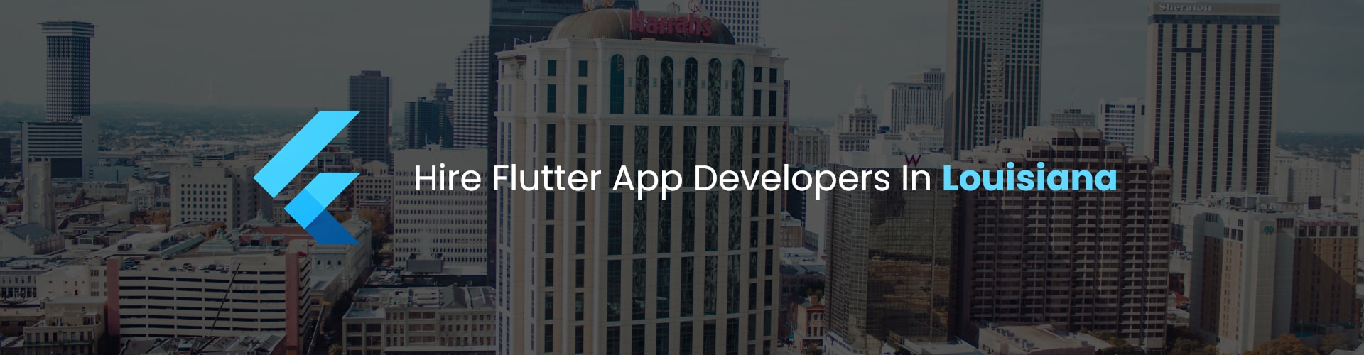 flutter app developers in louisiana