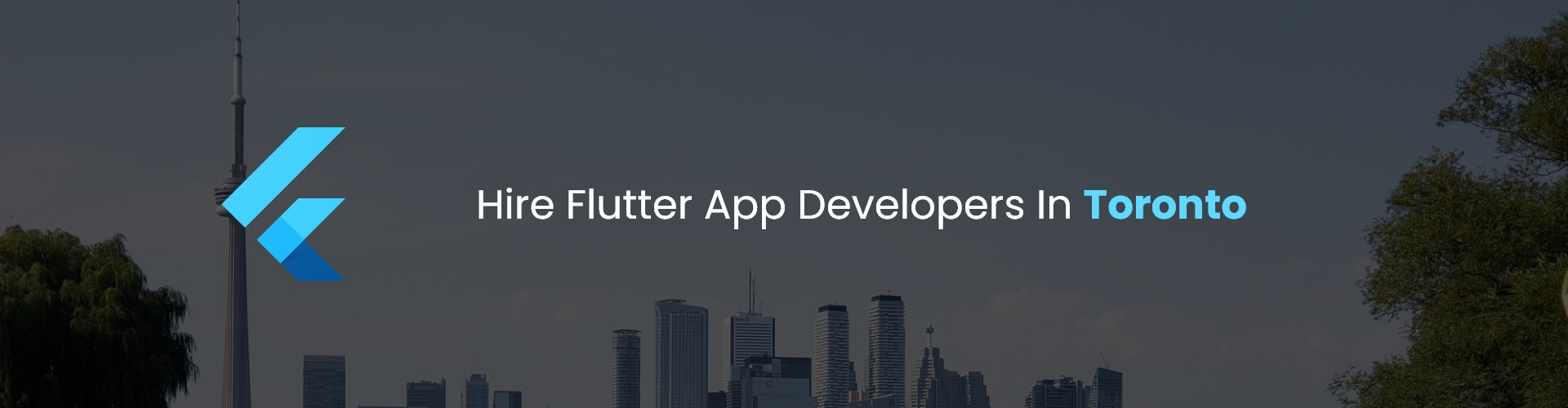 hire flutter app developers in toronto