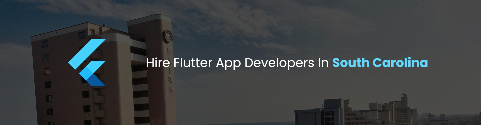 flutter app developers in sa 1