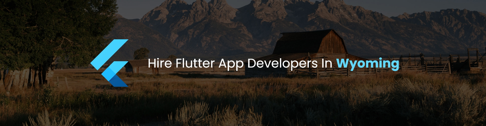 hire flutter app developers in wyoming
