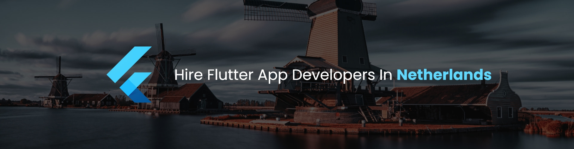 flutter app developers in netherlands