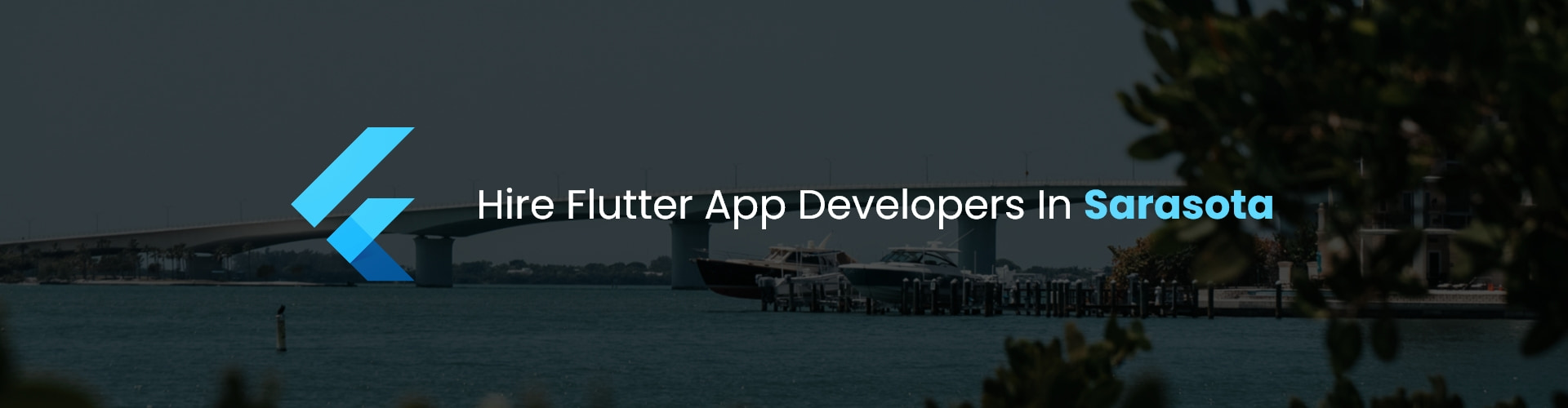 flutter app developers in sarasota 
