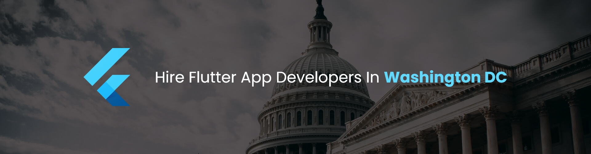 flutter app developers in washington