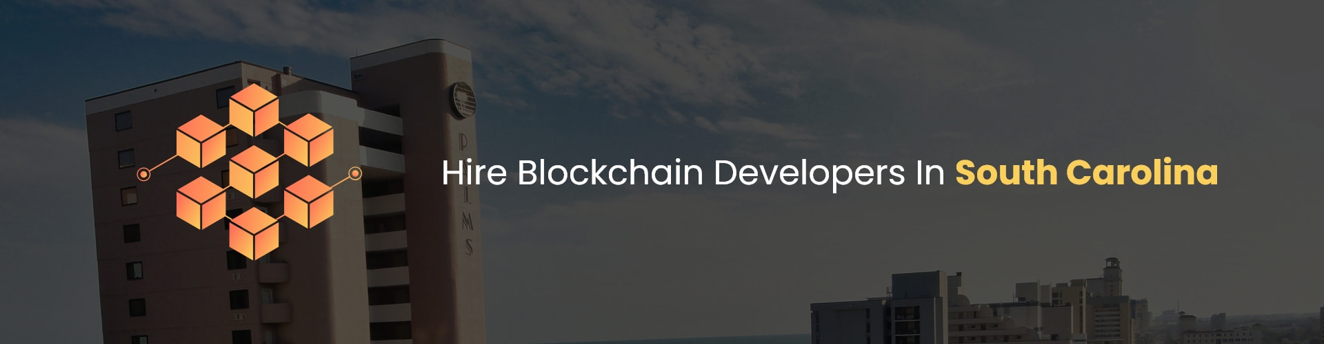 hire blockchain developers in south carolina