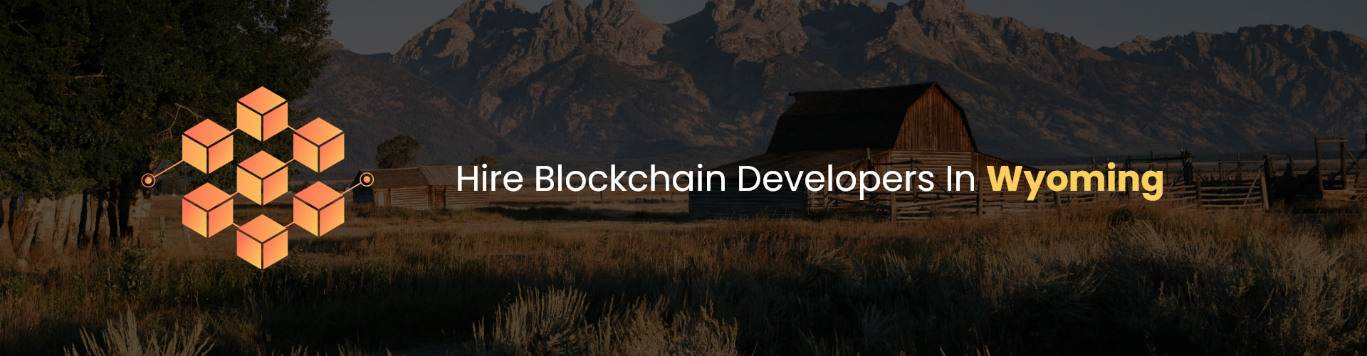 hire blockchain developers in wyoming