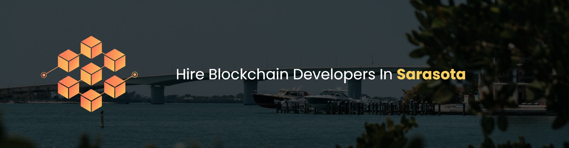 hire blockchain developers in sarasota