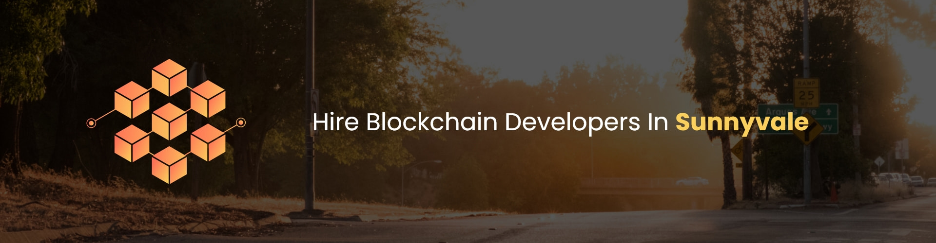 hire blockchain developers in sunnyvale