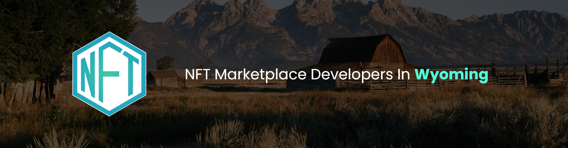hire nft marketplace developers in wyoming