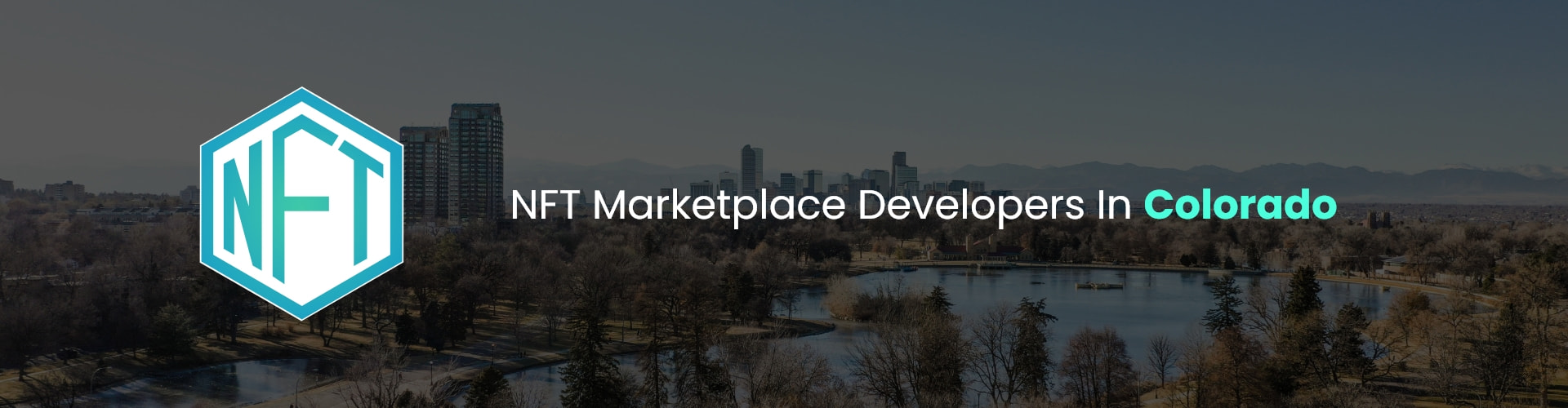 hire nft marketplace developers in colorado
