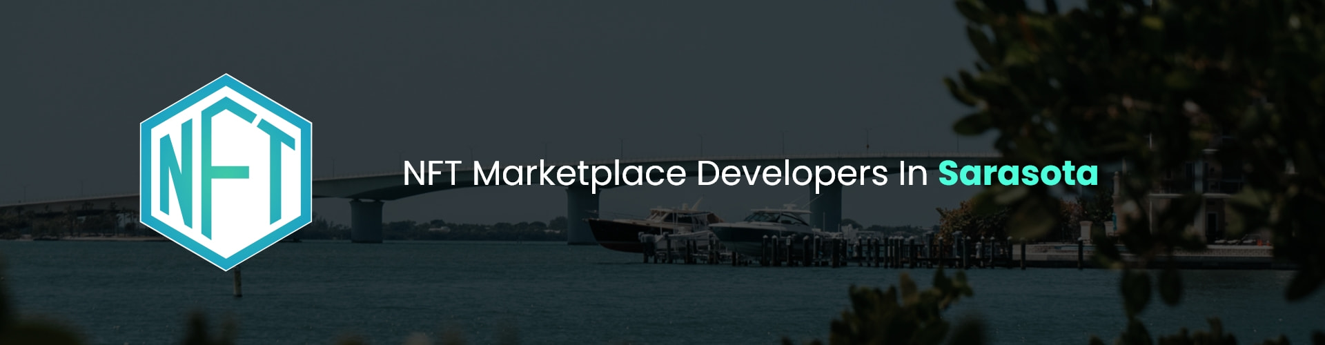 hire nft marketplace developers in sarasota