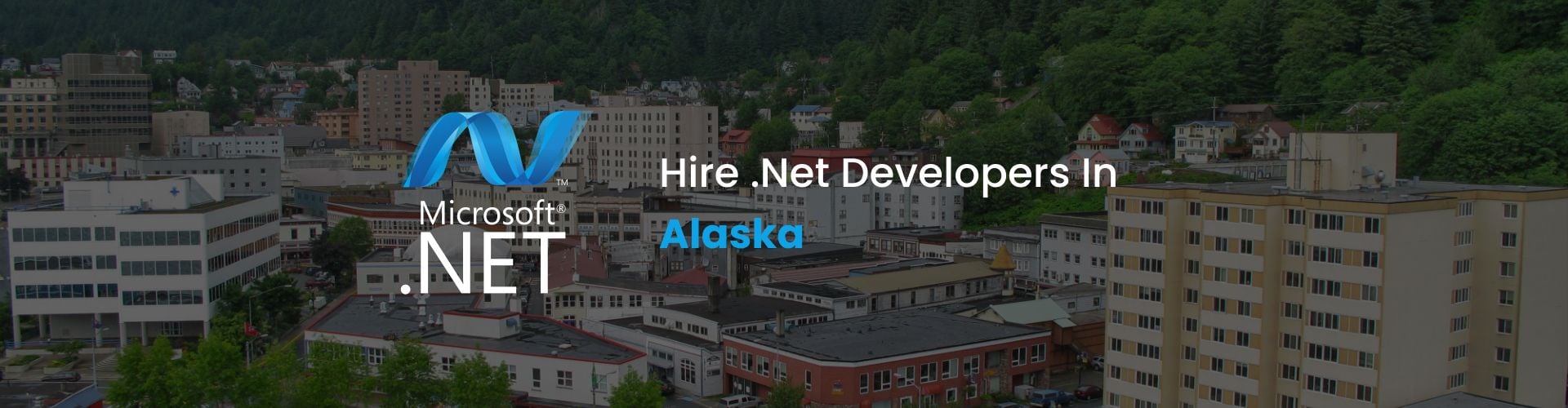 .net developers alaska