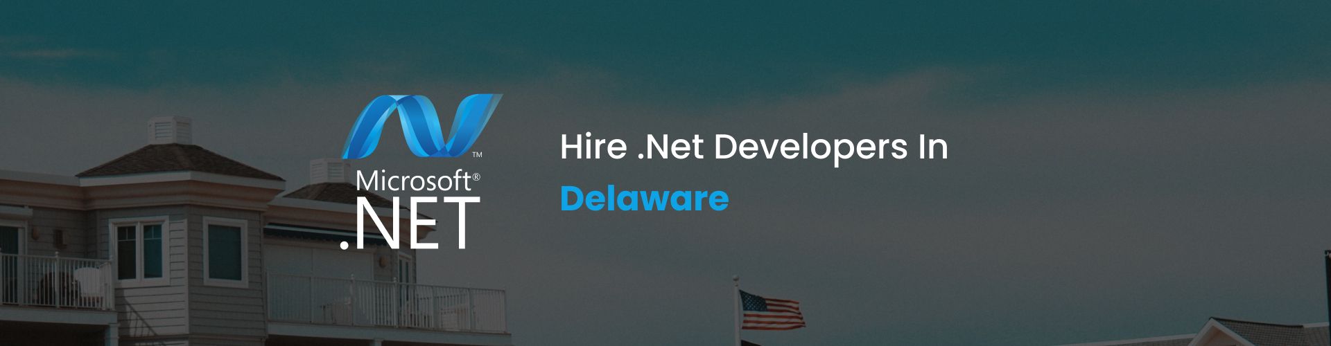 .net developers delaware