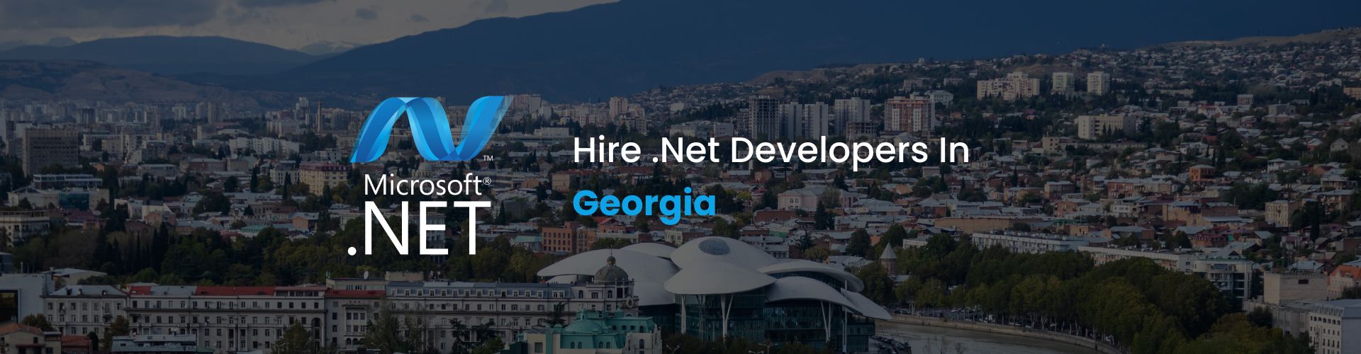 .net developers georgia