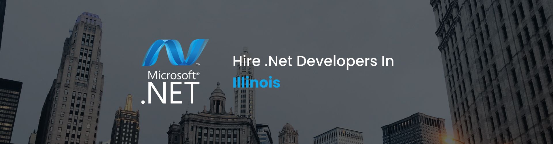 .net developers illinois