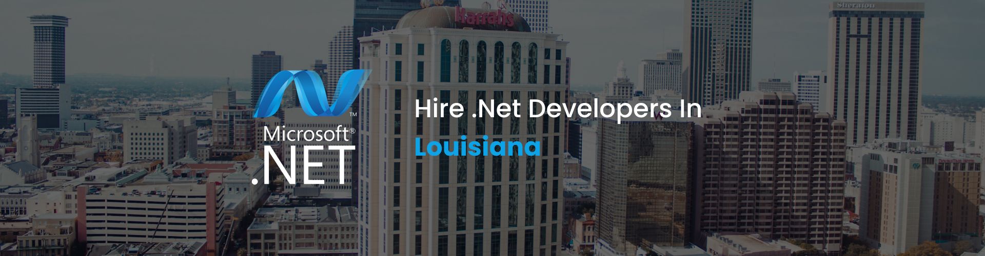 .net developers louisiana