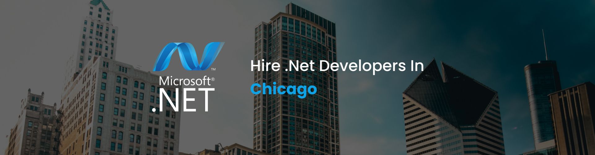 hire .net developers in chicago