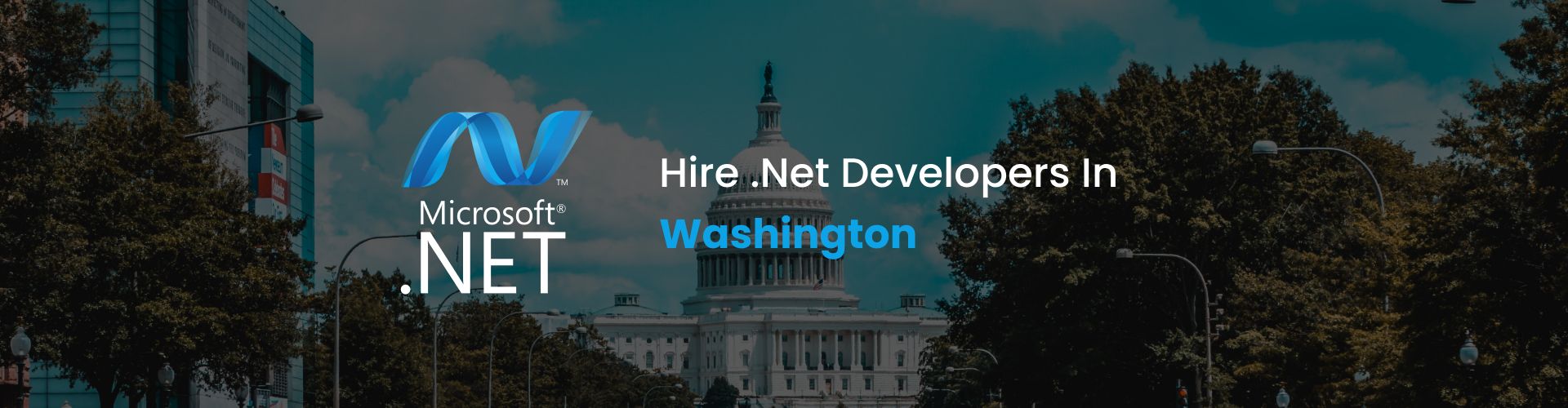 hire dot net developers in washington