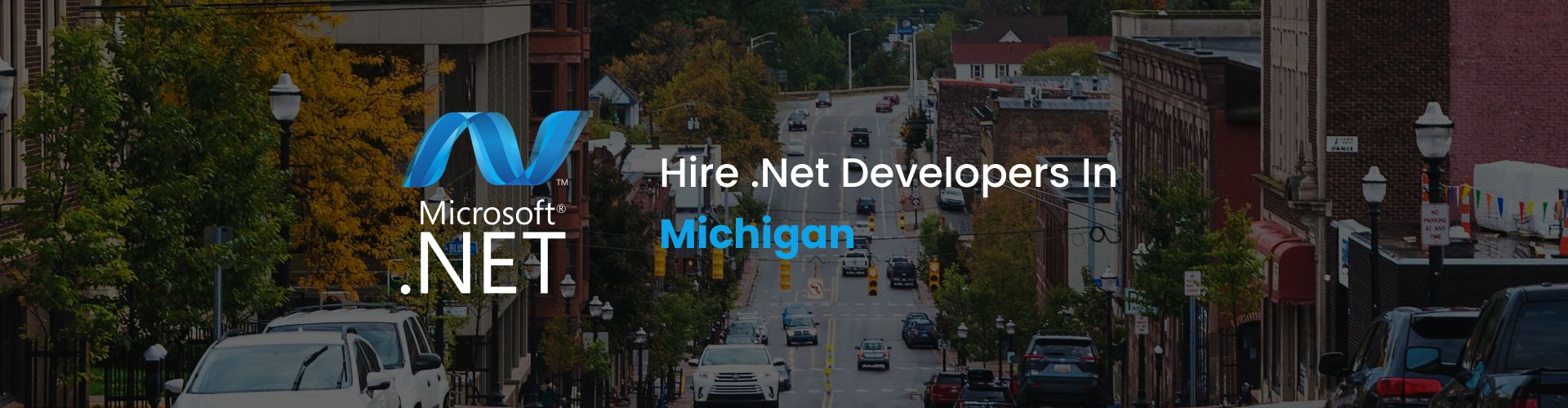 .net developers michigan