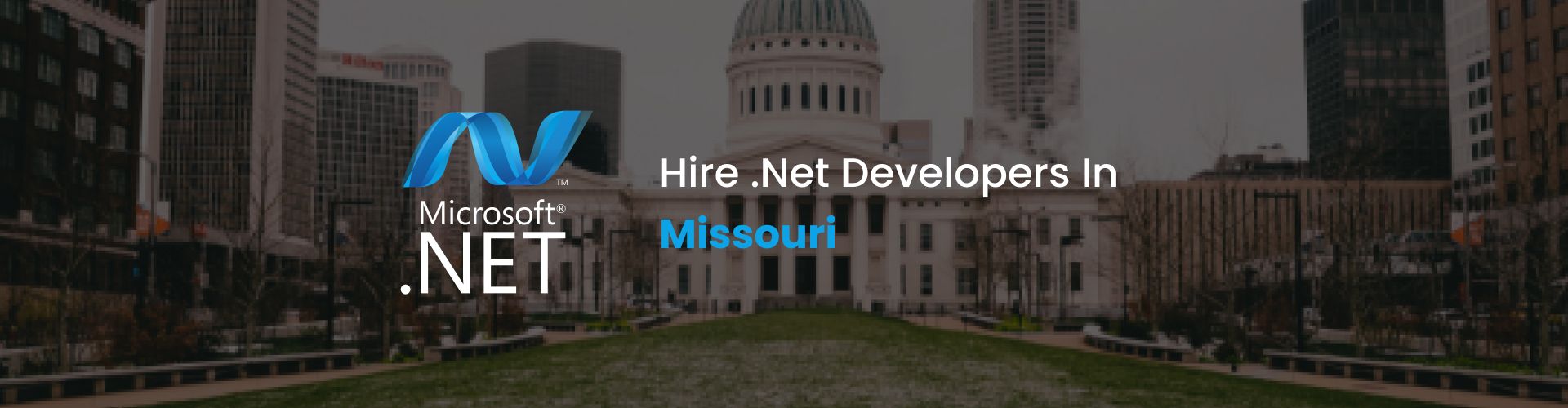 .net developers missouri