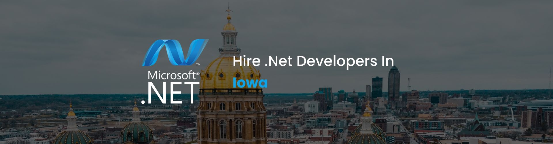 .net developers iowa