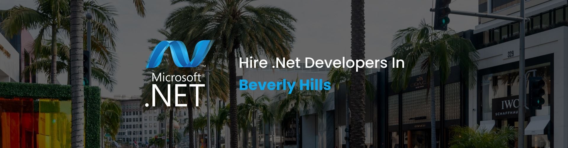 .net developers beverly hills