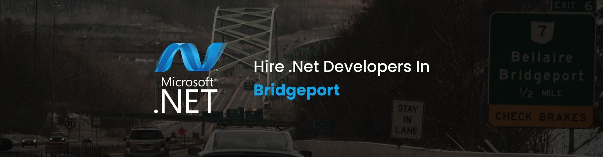.net developers bridgeport