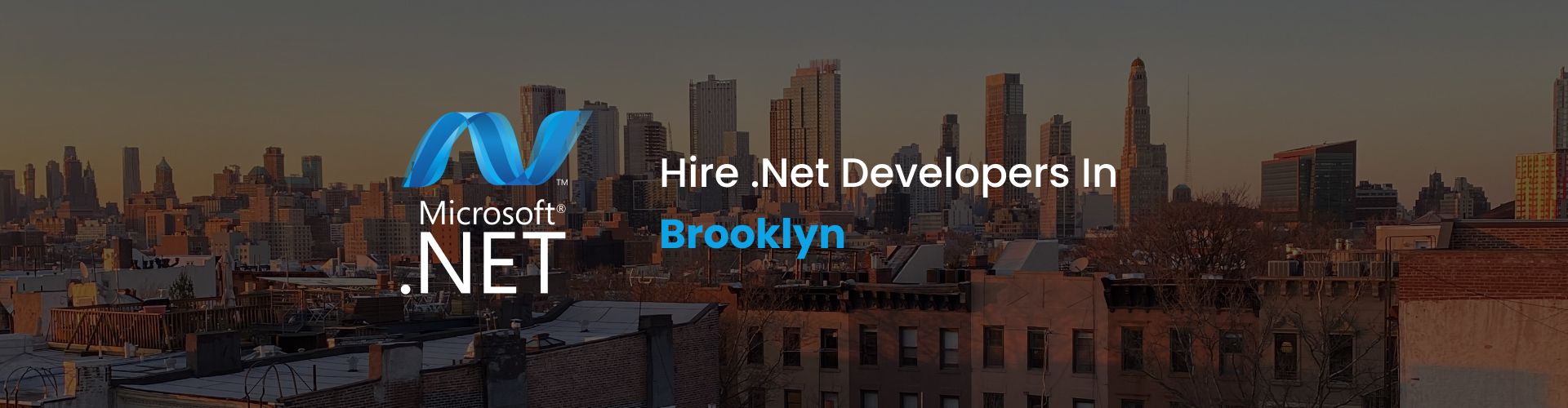 .net developers brooklyn