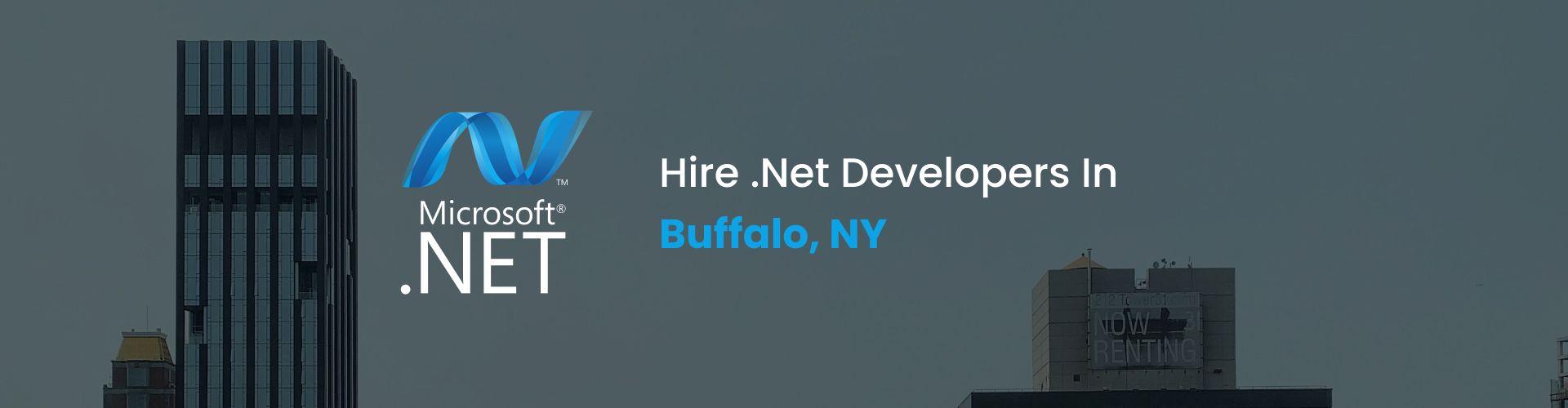 .net developers buffalo ny