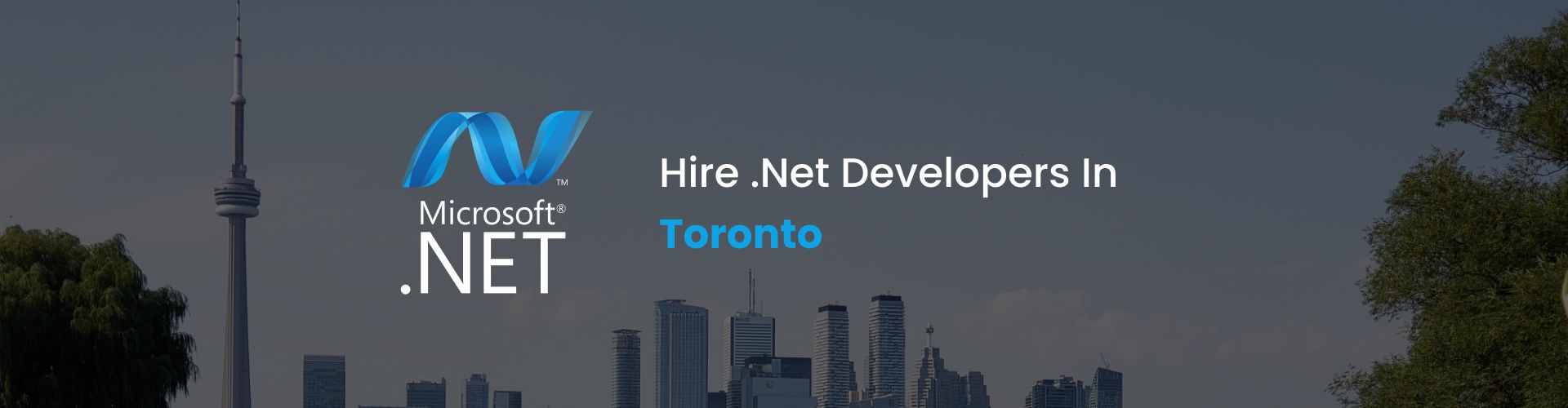 .net developers toronto