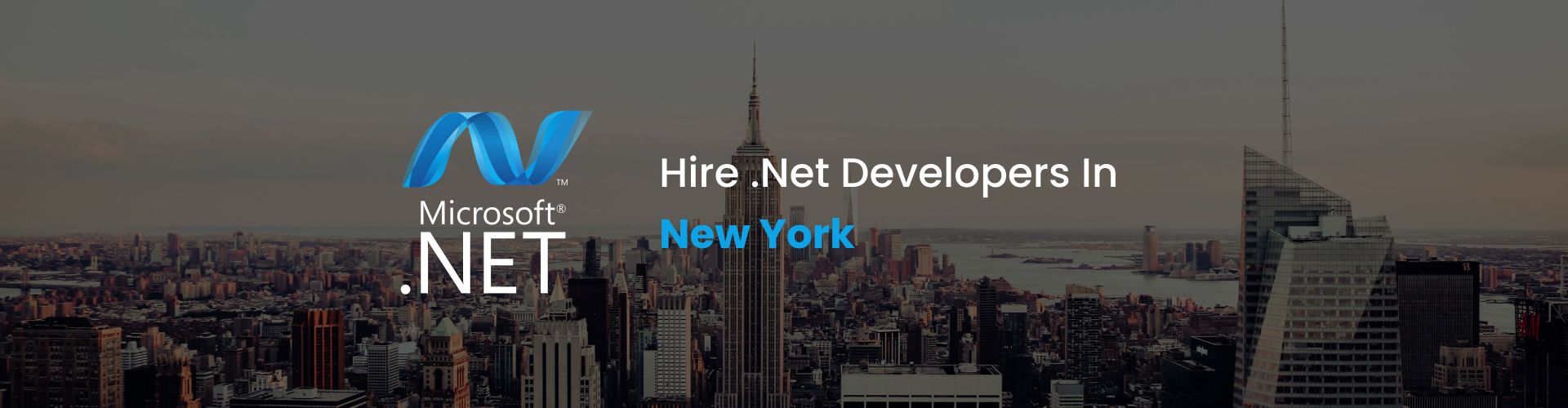 .net developers new york