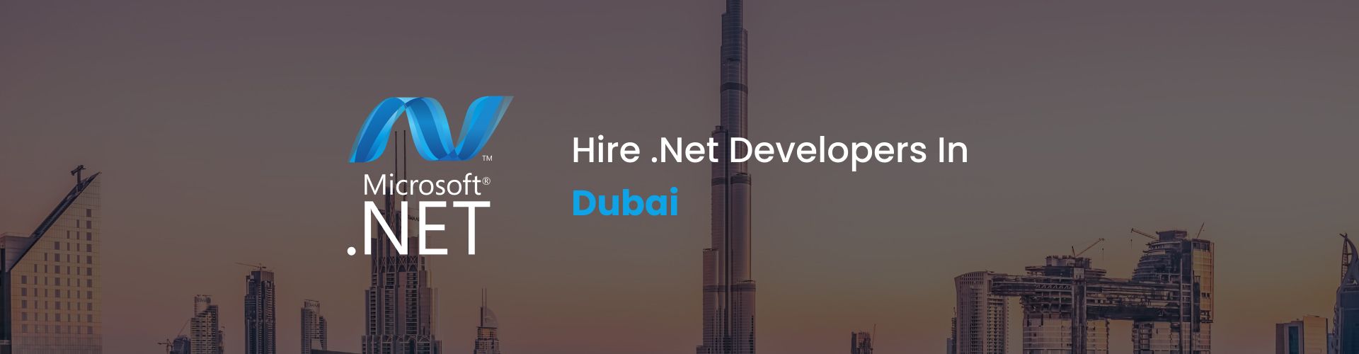 hire .net developers in dubai