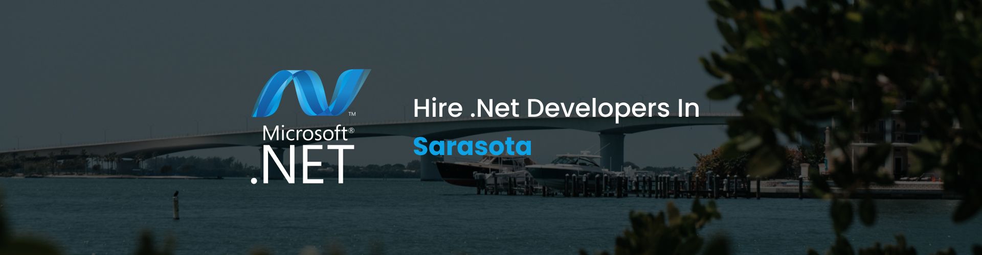hire dot net developers in sarasota