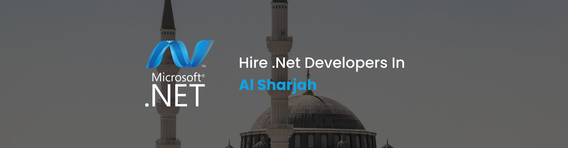 hire .net developers in al sharjah