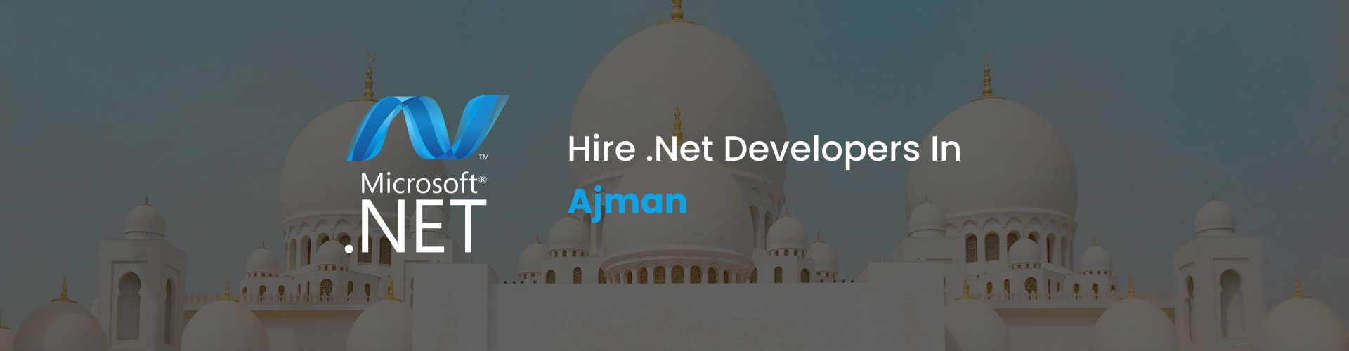 hire .net developers in ajman