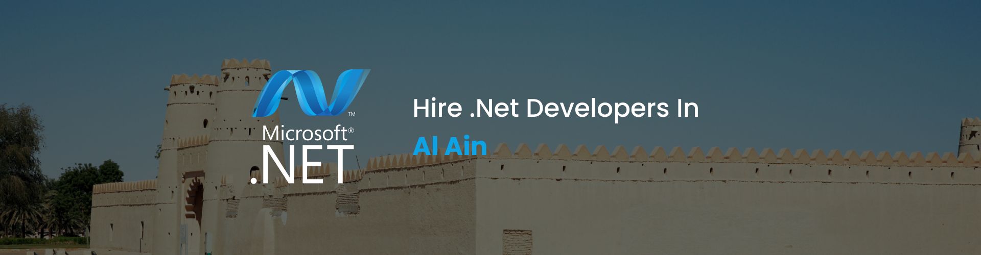 hire .net developers in al ain