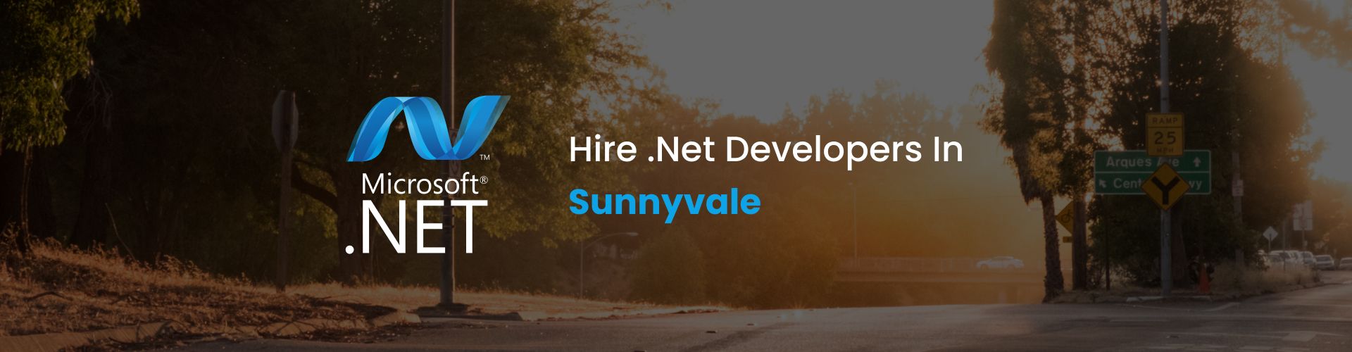 hire dot net developers in sunnyvale